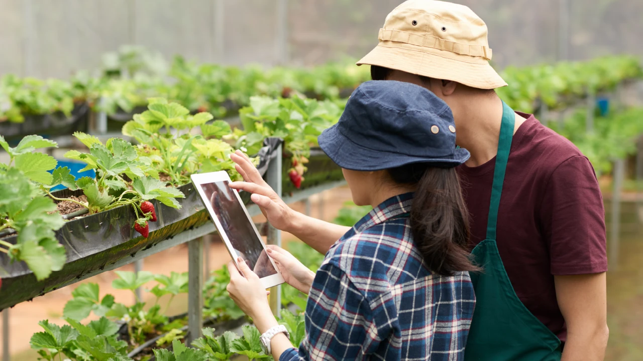 Educação para o campo: 5 inovações que podem ser aplicadas