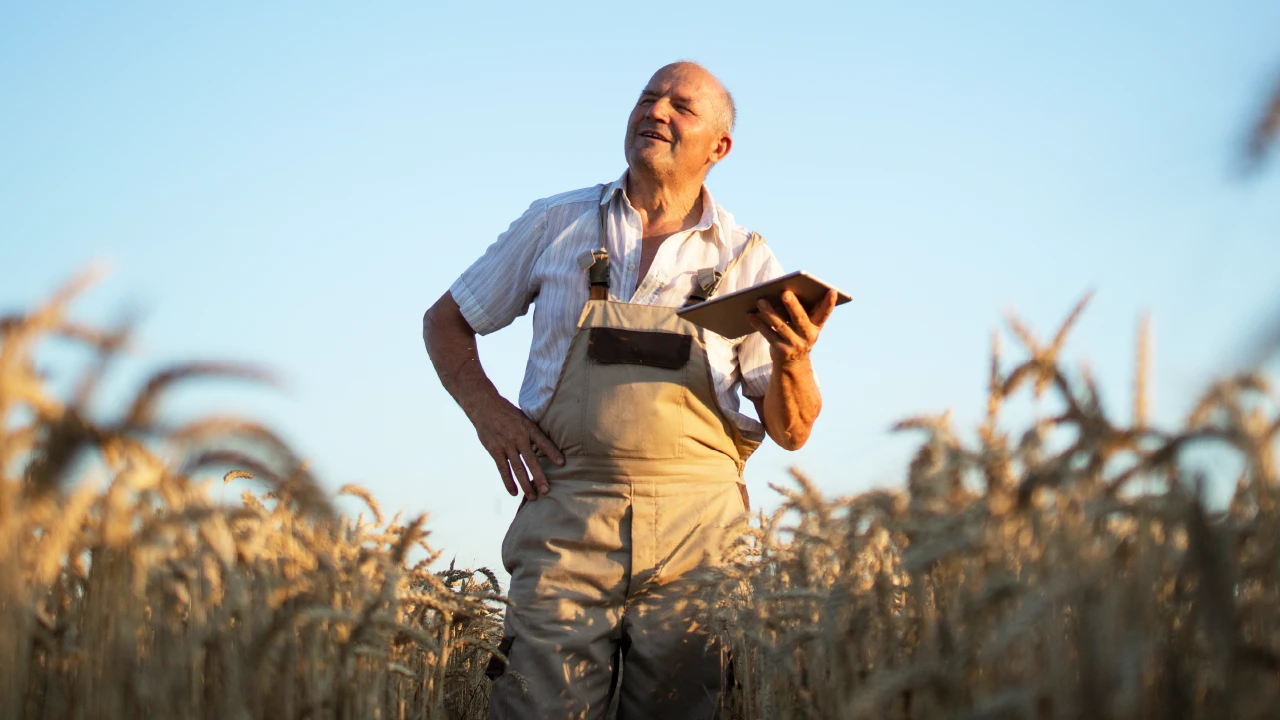 Por que a produção de conteúdo para o agronegócio é importante